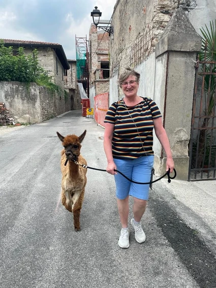 Wanderung mit dem Alpaka am Gardasee von San Felice aus 7 Wanderung mit dem Alpaka am Gardasee von San Felice aus 7